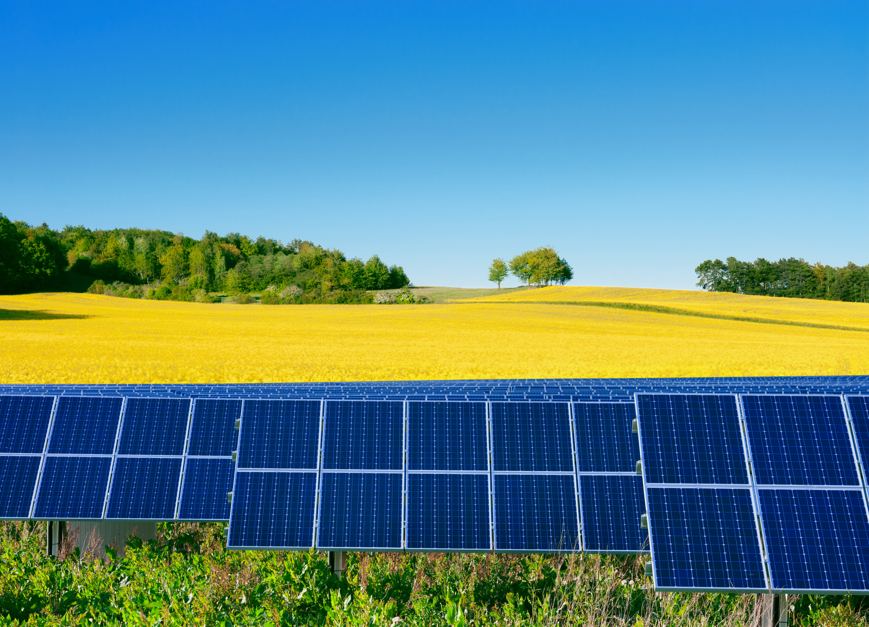 SMARD - The electricity market in 2024