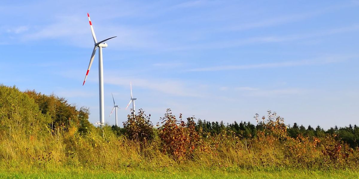 Wind turbines in autumn
